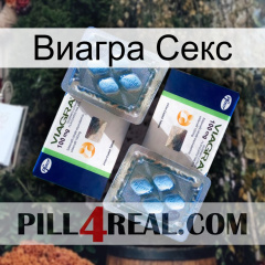 Виагра Секс viagra5